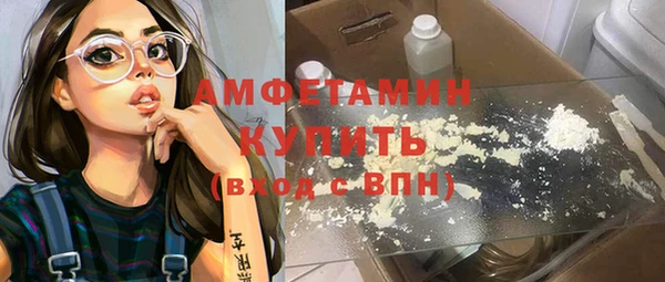 гидра Бердск
