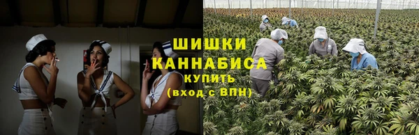 трава Мегион