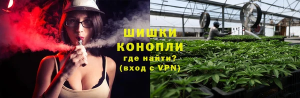 трава Мегион